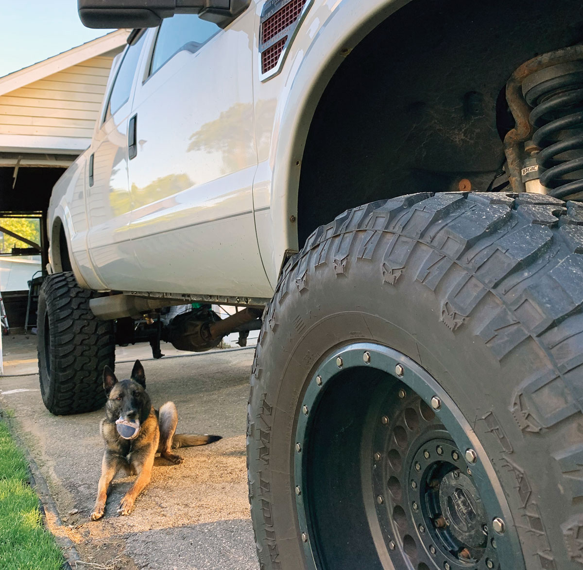 Courtney Craven’s F350 and her dog sitting next to it