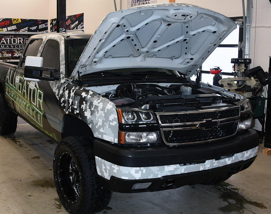 Alligator Performance with hood open